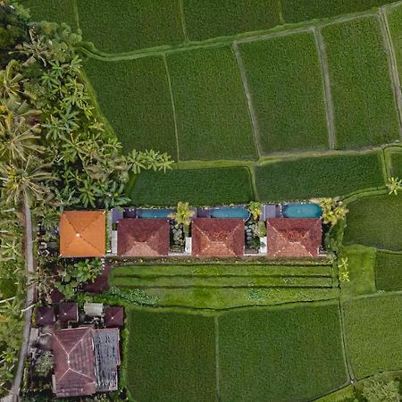Airsania Ubud Antique Villas Eksteriør billede