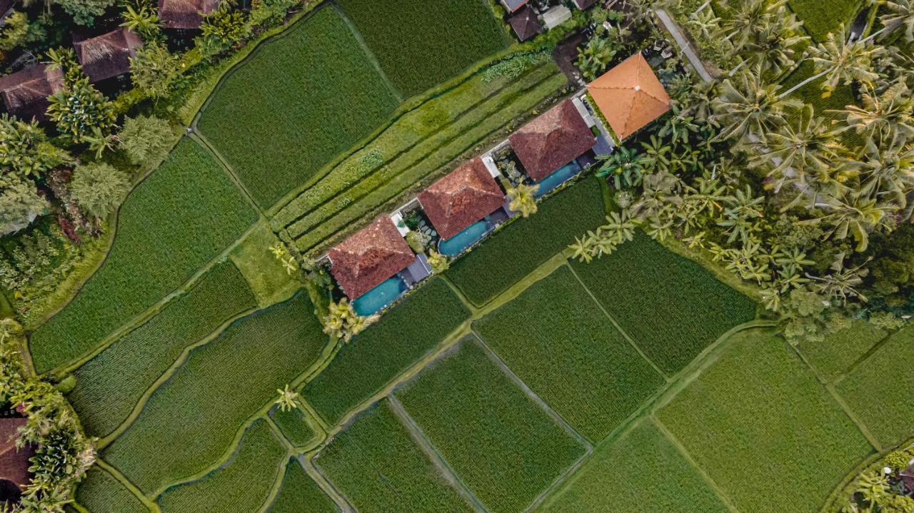 Airsania Ubud Antique Villas Eksteriør billede